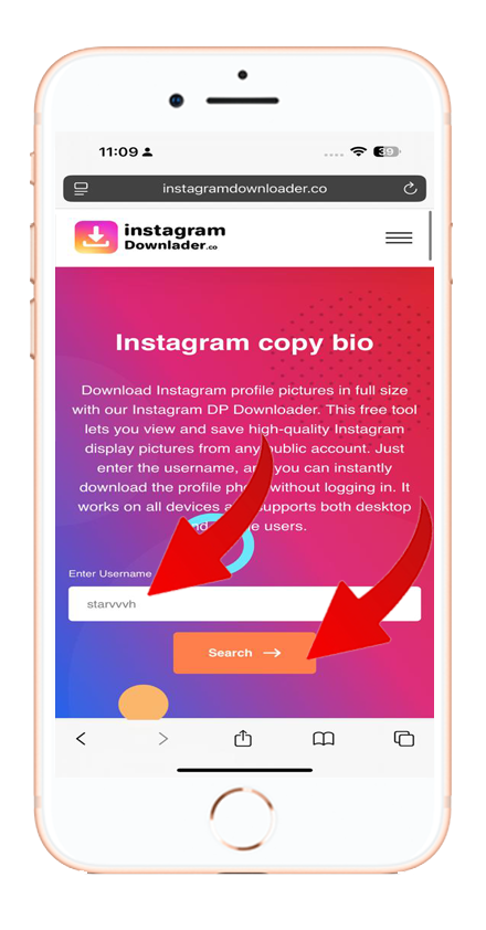 Step 2 - Paste on instagramdownloader