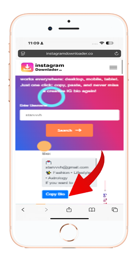 Step 3 - Copy instagram Caption